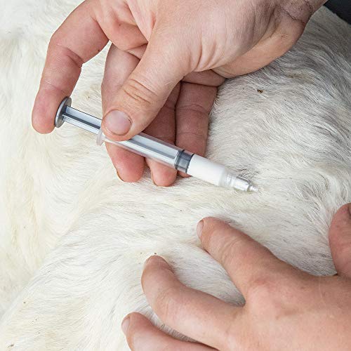 Amazon Com Premier 1 Supplies Feeds And Feeding