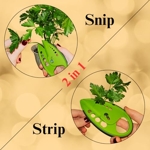 Image of 2-in-1 5-Blade Herb Scissors & Herb Stripper Set | 10-Hole Leaf stripper Stem Remover + Stainless Steel Herb Shears with Safety Cover & Cleaning Comb | Dishwasher Safe Kitchen Tool for all Herbs