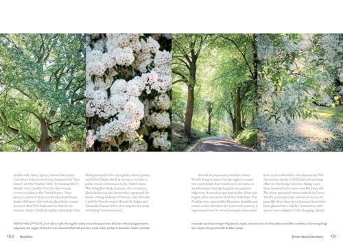 New York Green: Discovering the City's Most Treasured Parks and Gardens