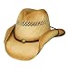 Bullhide Blaze - Raffia Straw Cowboy Hat (Small/Medium)