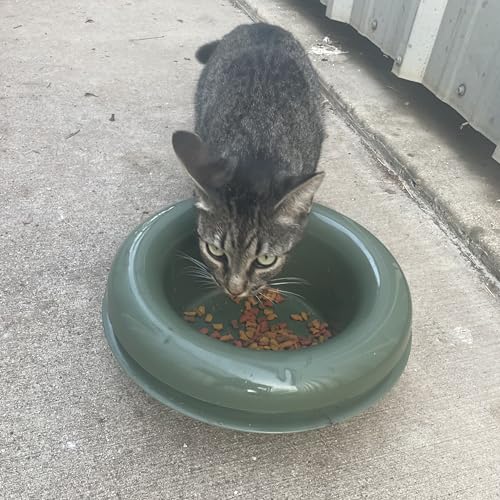 The Mote - Ant Proof Dog Bowl, Innovative Waterless System, Durable & Maintenance-Free, Simple Design Effectively Keeps Ants Out, for Dogs, Cats, and More - Image 5