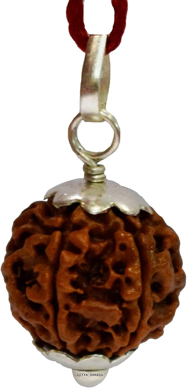 21 Mukhi Rudraksha Original Certified Pendant Sterling Silver Real Nepal Bead Genuine Rudraksh Fruit 21 मुखी रुद्राक्ष पेंडल