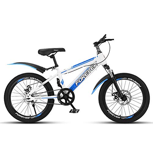 Best Mountain Bikes For 10 Year Olds 10Reviewz