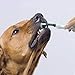 Tfwadmx Dog Toothbrush, Three Sided Pet Toothbrush Dog Brush Dental Clean Care Tooth Whitening Mouth Bad Breath Removing Tartar (3-Sided) 3 Pcs