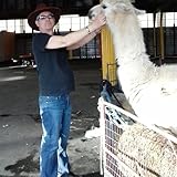 rocky mountain altitude powerplay  Rocky Mountain Glow