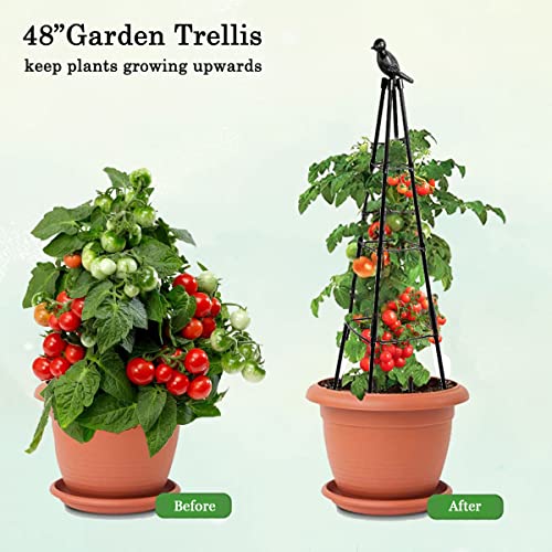 Garden Trellis, Support Plant Stand For Climbing Plants Outdoor And Indoor Trellis, Potted Plants Flowers Vegetables And Vines, Tomato Cage Tower - 1 Pack #TOP5