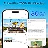 wansview Bird Feeder with Camera-Smart Bird Feeders for Outdoors Solar Powered, Birdhouse with Cam & Instant Alert, 2K Live Video, AI Identify Species, Ideal Gift for Tech Lovers, F1, Brown, 2.4G WiFi #2