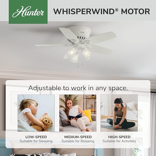 Image of Hunter Builder, Indoor, Ceiling Fan, with LED Lights, 42 inch, Snow White