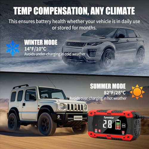 15A 12V/24V LiFePO4 Charger