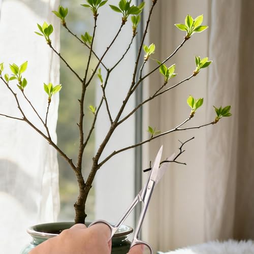 Set de 5 pinzas y tijeras de jardinería de acero inox miniatura 5