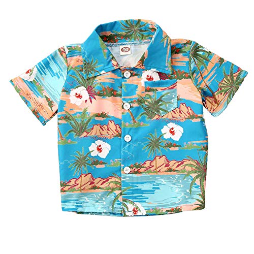Baby Boy Kids Hawaiian Shirt Tropical Landscape Pattern Shirt Short Sleeve Beach Holiday Casual Blouse Tops (Blue, 1-2Y)