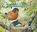 About Birds: A Guide for Children (Educational Science Book for STEM Learning)