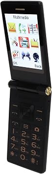 Plum Flipper 4G LTE Unlocked Flip Phone - Large Screen, Wear Resistant Shaft, Prominent Buttons, One Touch Dial, Clear Sound Quality, Photographic Camera Tarnish