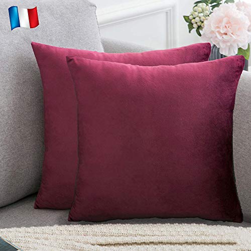 Douceur De Plumes Lot de 2 Housse de Coussin Prune Velours 40x40 cm Uni, Taie d'oreiller Carré Doux et Moderne pour Salon Scandinave Pourpre Bordeaux, Violet Canapé (2 Prune)