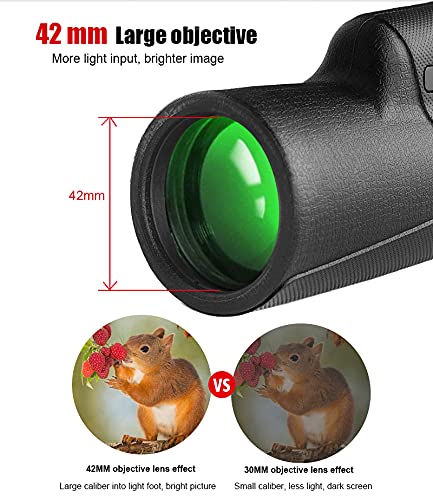 https://m.media-amazon.com/images/I/51CYc2nkSjL.jpg