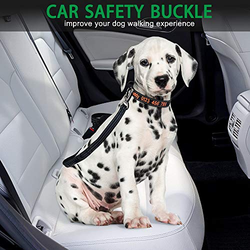 Bungee Dog Leash For Walking - Misthis 4-6Ft Heavy Duty Dog Leash With Highly Reflective Threads And Buffer For Medium And Large Dogs,Durable Car Seat Belt (Black) #TOP6