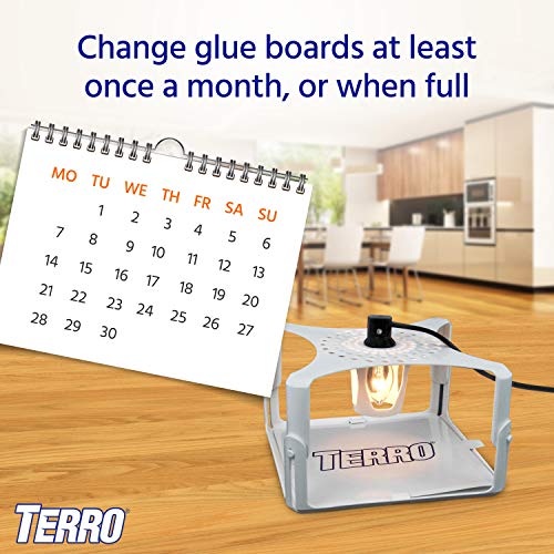 Terro T231 Flea Trap Refills - Replacement Flea Trap Glue Boards,White thumb #3