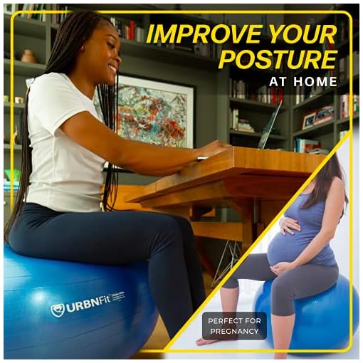 Exercise Ball (65 CM) for Stability & Yoga - Workout Guide Incuded - Professional Quality (Blue) - Image 7
