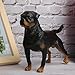 Imagen de Zerodis Juguete de la figura de Rottweiler