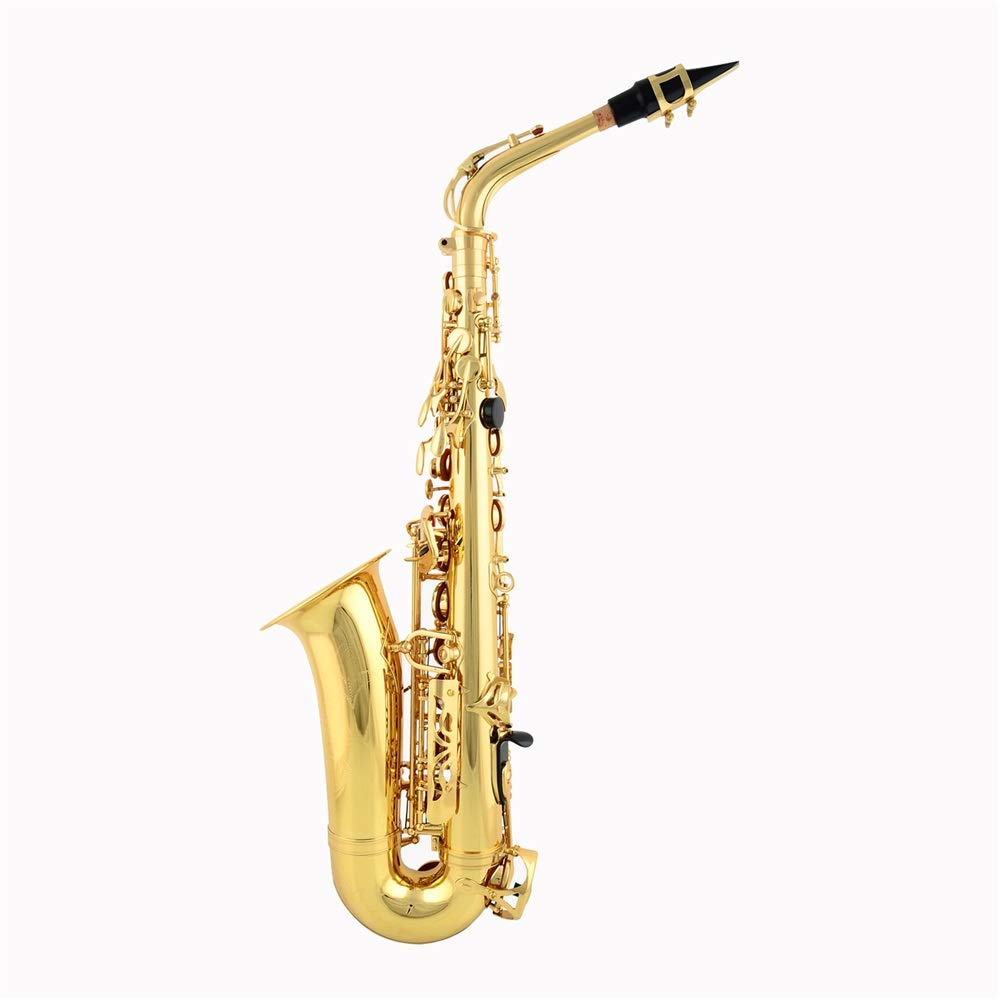 Amazon.co.jp: Alto Saxophone Lacquered E-Flat Alto Saxophone Gold