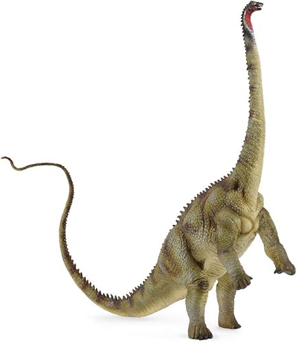 CollectA Diplodocus - Figura de dinosaurio de juguete – Auténtico modelo pintado a mano y aprobado por paleontólogos, verde