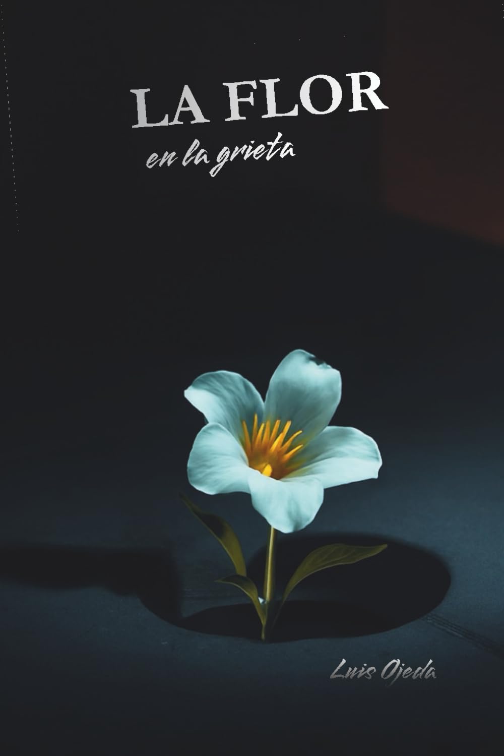 La Flor En La Grieta