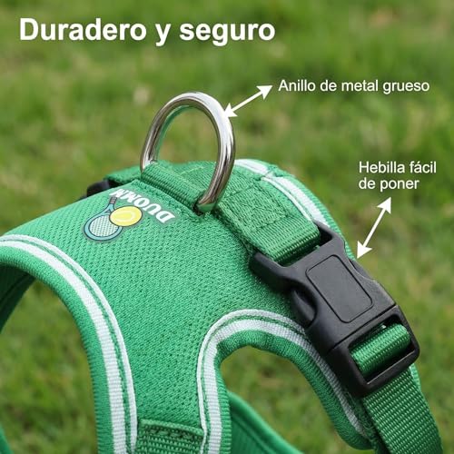 Correas para perros pequeños 12 Imagen adicional