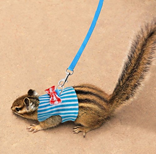 Small Pet Outdoor Walking Harness Vest and Leash Set with Cute Bowknot Decor Chest Strap Harness for Rat Ferret Squirrel Hamster Clothes Accessory, Blue Stripe - Image 8