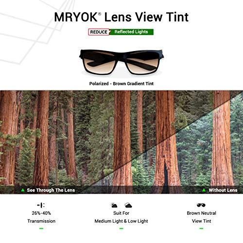 Image of Mryok Replacement Lenses for Oakley Big Taco OO9173 - Options