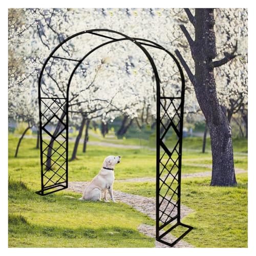 Structure de support de pelouse de jardin avec arche de treillis en métal solide
