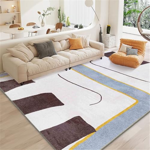 Moquette intérieure style moderne tapis table basse compact format 80X150CM