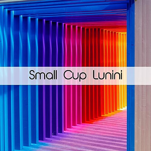  Small Cup Lunini
