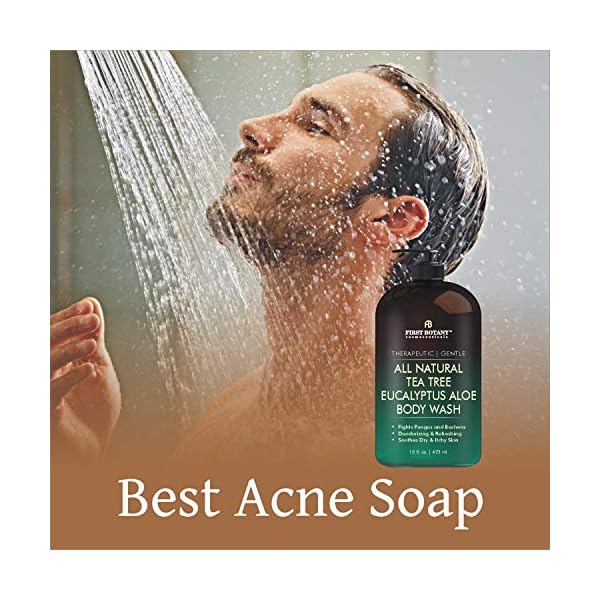 ALL-Natural-Tea-Tree-Body-Wash-Fights-Body-Odor-Athletes-Foot-Jock-Itch-Nail-Issues-Dandruff-Acne-Eczema-Yeast-Infection-Shower-Gel-for-Women-Men-Eucalyptus-Aloe-Skin-Cleanser-16-fl-oz ALL Natural Body Wash - Fights Body Odor, Athlete’s Foot, Jock Itch, Nail Issues, Dandruff, Acne, Eczema, Shower Gel for Women & Men, Skin Cleanser -16 fl oz (Tea Tree Eucalyptus)