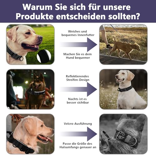 Premium Hundehalsband aus Nylon, Verstellbares Atmungsaktives Hundehalsband Weich Gepolstert, Reflektierend Halsband Hund mit Griff Halsband, 4.5 cm Breit M-XL