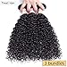 Tinall Hair Brazilian Virgin Kinky Curly 3 Bundles (10 12 14 Inch) 10A 100% Unprocessed Brazilian Virgin Kinkys Curly Real Human Hair Natural Black