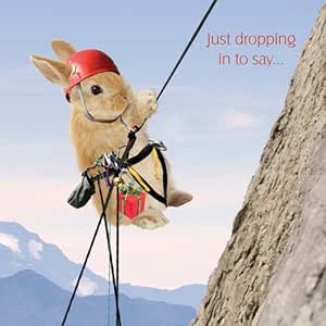 Abseiling Bunny Rabbit Birthday Greeting Card : Amazon.co.uk ...