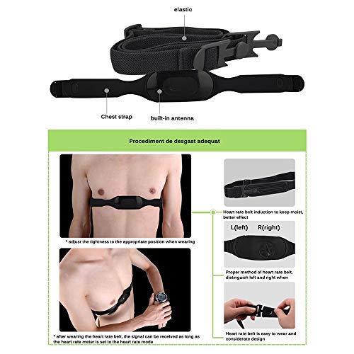 Youool Frecuencia Cardíaca Bluetooth Banda Monitor