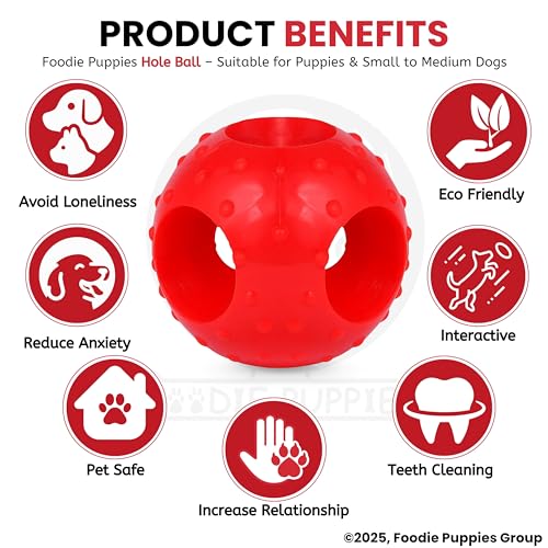 Image of Foodie Puppies Natural Rubber Flavored Hole Ball - 2.35inch / 6cm | Suitable for Small to Medium Dogs and Puppies | Chewing, Teething, and Training Ball Toy