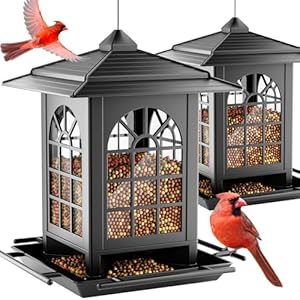 Birdream 2 Pack Bird Feeders for Outdoors Hanging – 7LB Total Capacity Classic Courtyard Design Fun Assembly Large Bird Feeder, Attracting Wild Birds Cardinals Goldfinches Sparrows