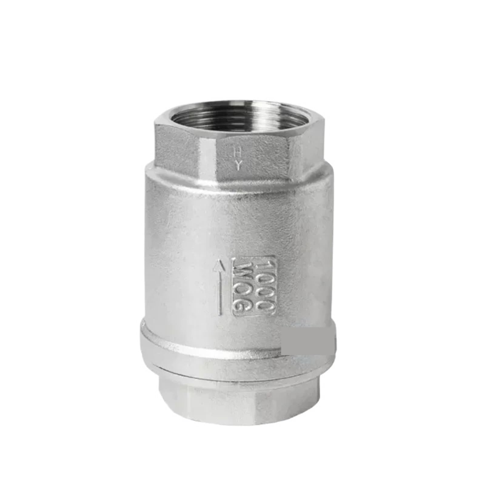 Dkgnyxnplj Vertical Check Valve 1Pcs 304 Stainless Steel Swing Check Valve Horizontal Threaded 1-Way Valve(,G2 Bsp Dn50)
