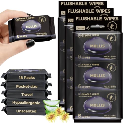 Image of MOLLIS Witch Hazel Flushable Wipes for Adults, Extra Large, 108 Count