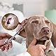 Pinzette für Ohrenhaare für Haustiere, Zange zum Entfernen Tierhaaren, Edelstahl Haustierzange, Tierärztliche Zange, Hämostatische Pinzette für Haustiere, für Katzen, Hunde, Kaninchen