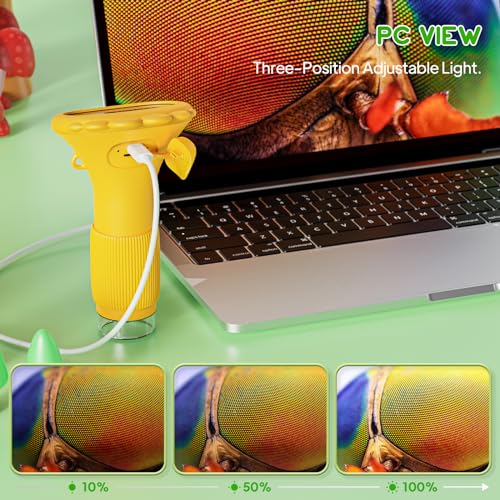 image for Ashfly Microscope for Kids, Mini Microscope with 2'' Inch Screen - 200