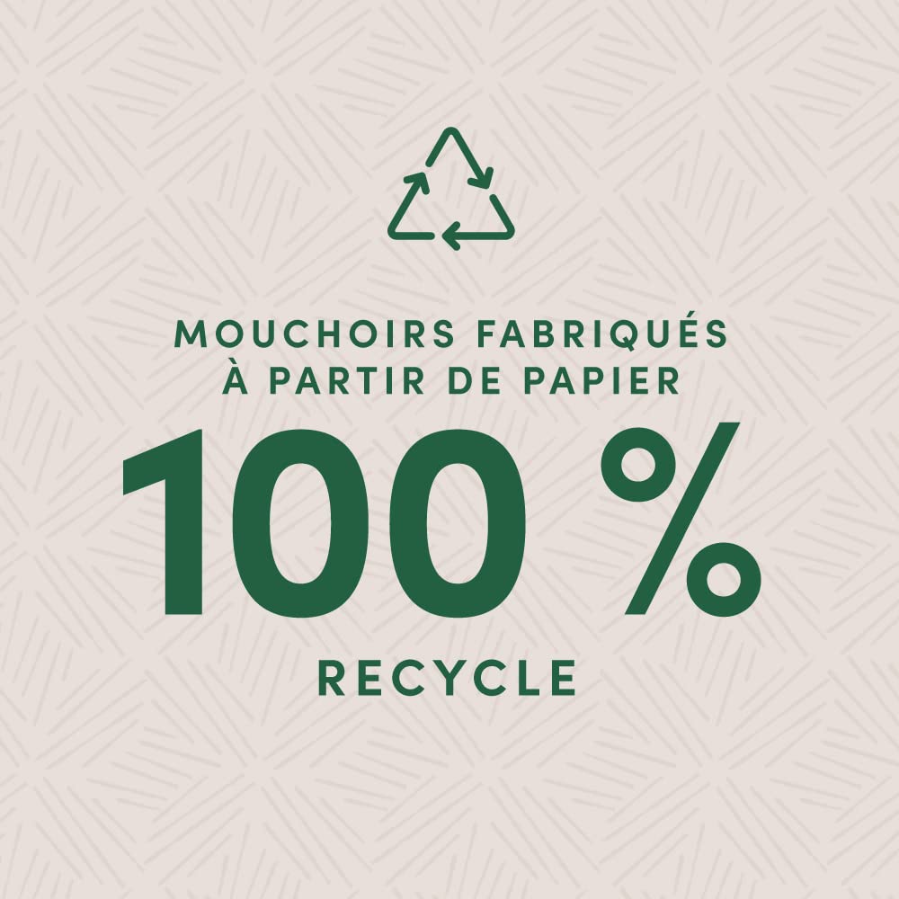 Amazon Aware 4 épaisseurs Mouchoirs en papier 100% recyclé, 1500 pièces, 15 lot de 100 chaque