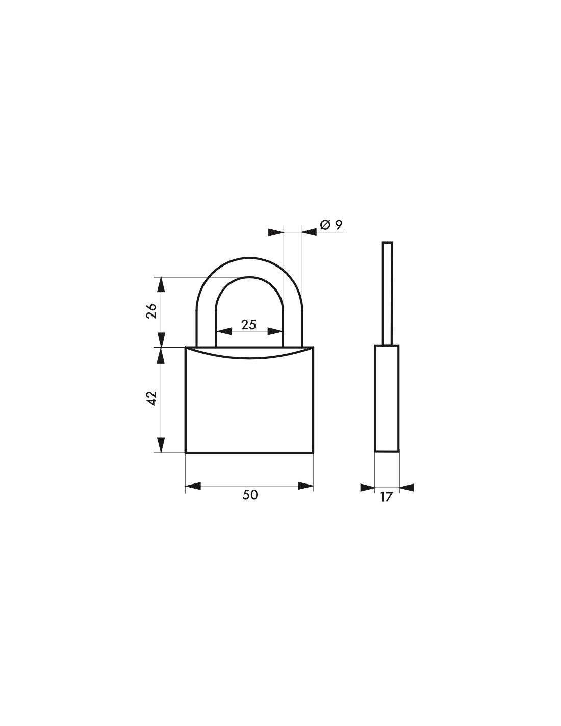 Type 1 Padlock with Shackle, 50 mm, Golden for Indoor Use, Double Pin Lock, Brass Body and 2 Steel Keys - Image 4