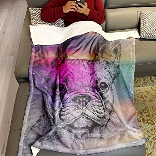 Violetpos Flanell Weich Fleecedecke Kuscheldecken SanftBettüberwurf Decke Französische Bulldogge Handgezeichnet Skizze 150x200 cm