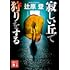 辻原登「寂しい丘で狩りをする(Kindle版)」
