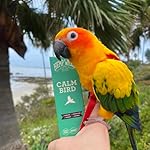 Hemp Well Calm Bird Oil — Relieves Anxiety, Calms and Relaxes Your Bird, Reduces Destructive Behavior, Organically Sourced – 2 Ounces - Image 4