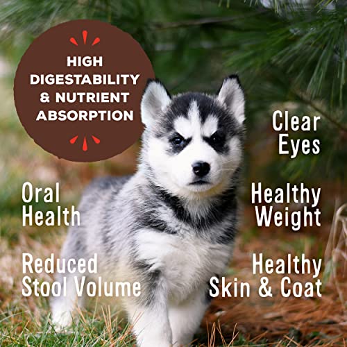 Primal Puppy Dog Food Pronto Freeze Dried Dog Food, Complete & Balanced Ready To Serve Healthy Grain Free Raw Dog Food (16 Oz) #TOP5