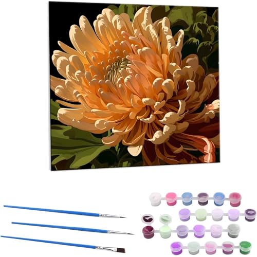 e G Paint by Numbers hG Lbg l ʂ肦 lphGLoXNtg  LoXA[g uVƃANG̋, ItBX CeA rO, ւ̃Mtg 60x60cm (t[X